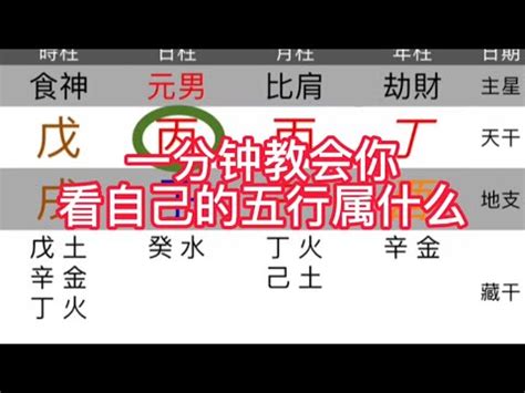 計算五行|快速瞭解你的五行屬性